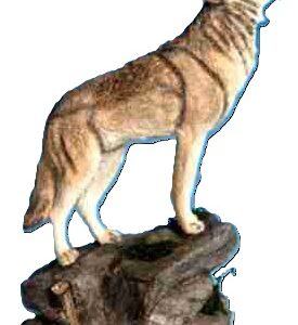 Mossy Oak Timber Wolf