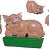 Ma and the Porkers Magnets