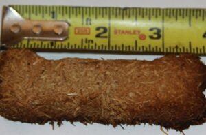 Large Bone Large Bone Shape Treat