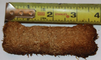 Large Bone Shape Treat