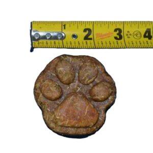 Large Paw Large Paw Print Treat